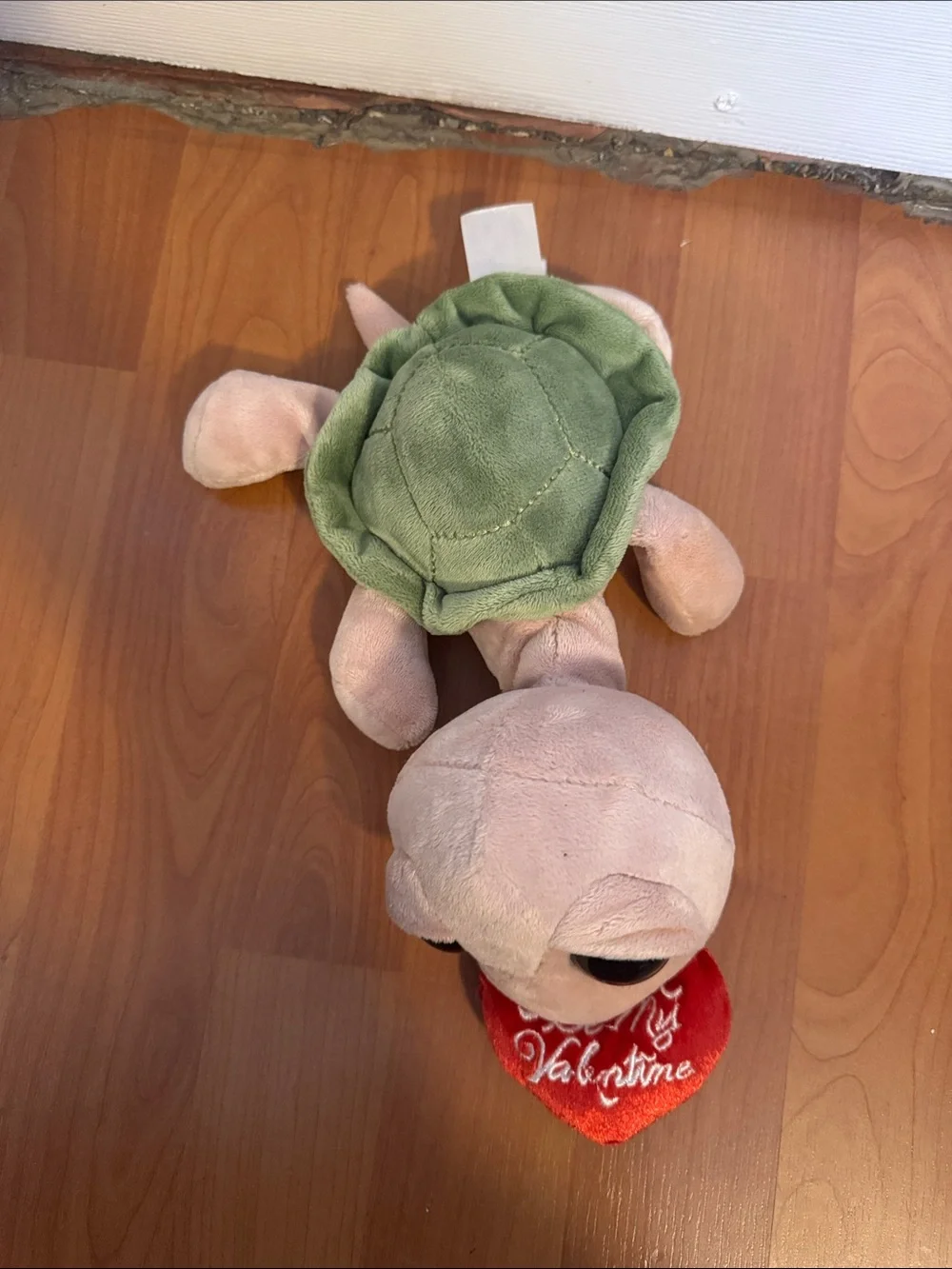 Plush Turtle in Green, Beige and Red Heart